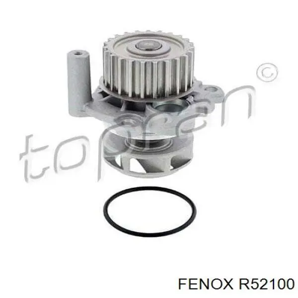 R52100 Fenox rodillo, cadena de distribución