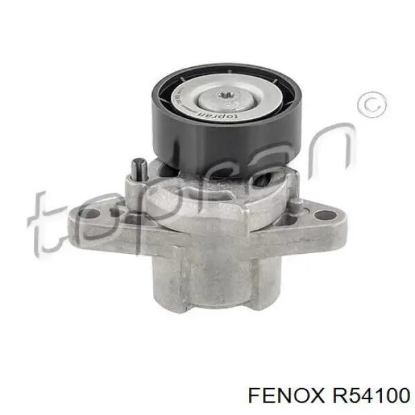 R54100 Fenox tensor de correa, correa poli v