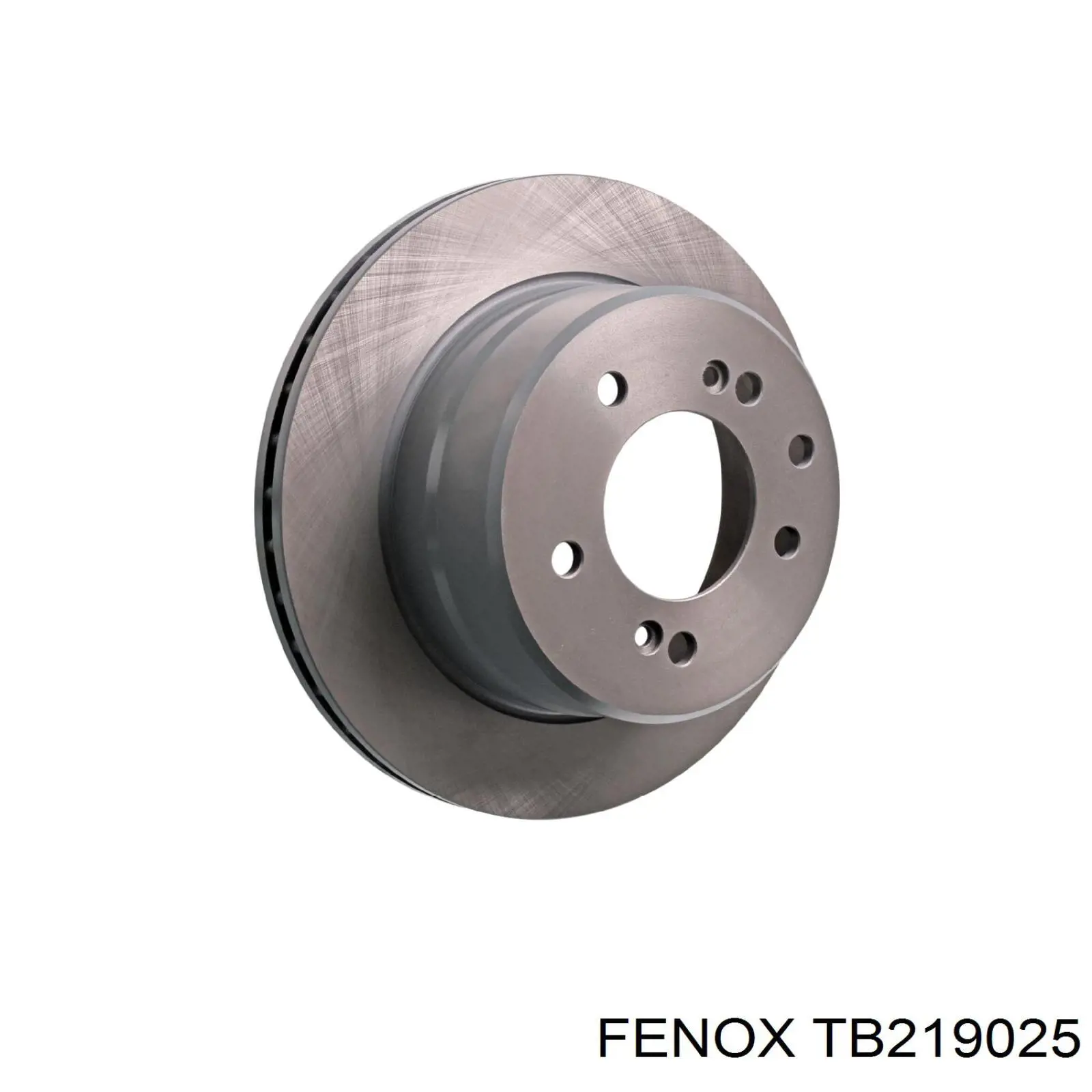 TB219025 Fenox disco de freno trasero