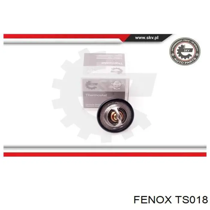 TS018 Fenox termostato, refrigerante