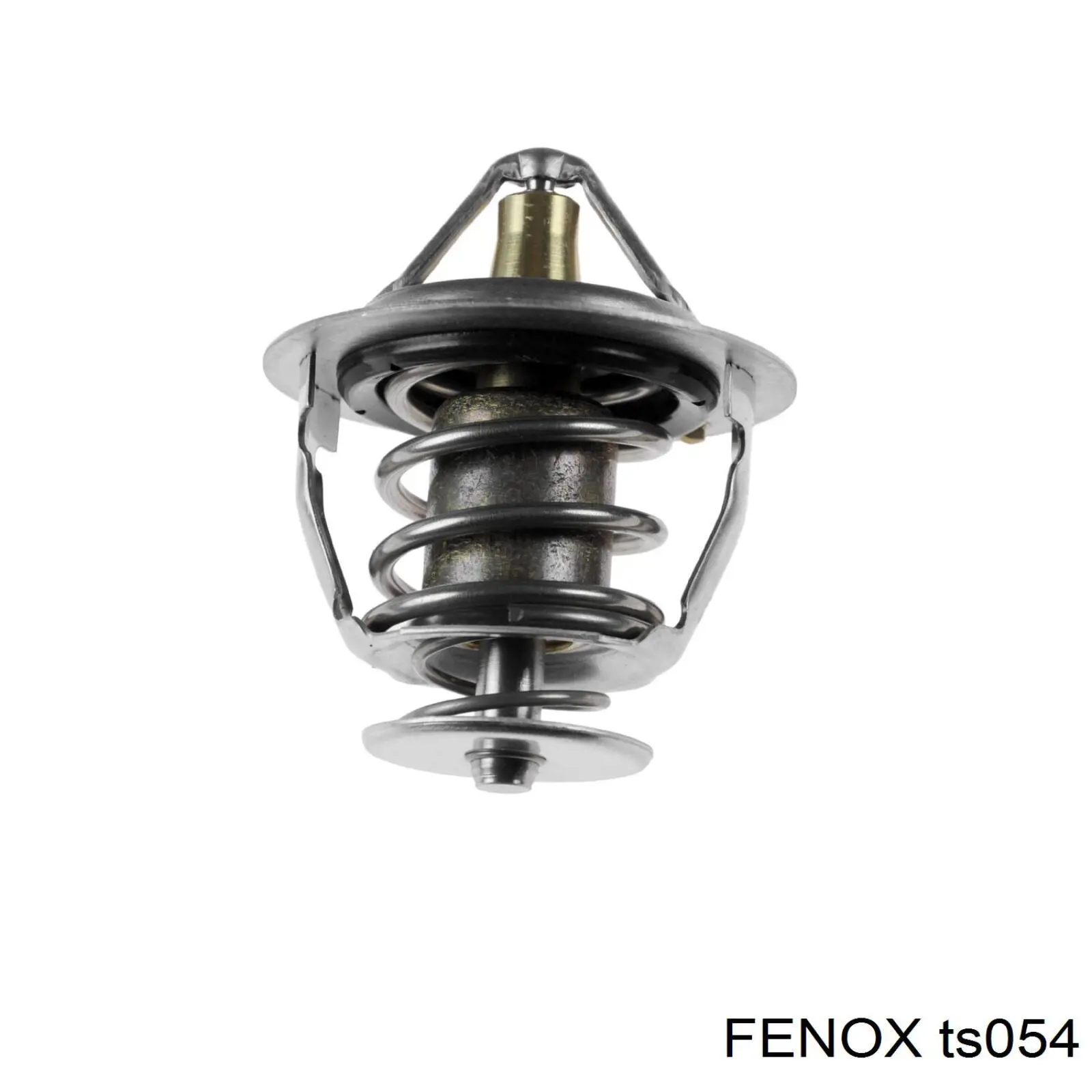 Termostato, refrigerante Nissan Sunny 3 N14