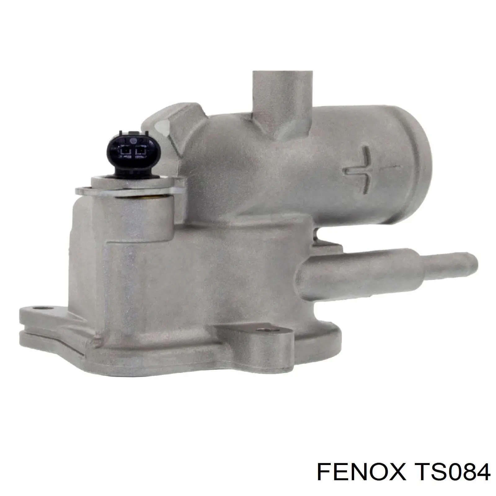 TS084 Fenox termostato, refrigerante