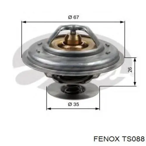 TS088 Fenox termostato, refrigerante