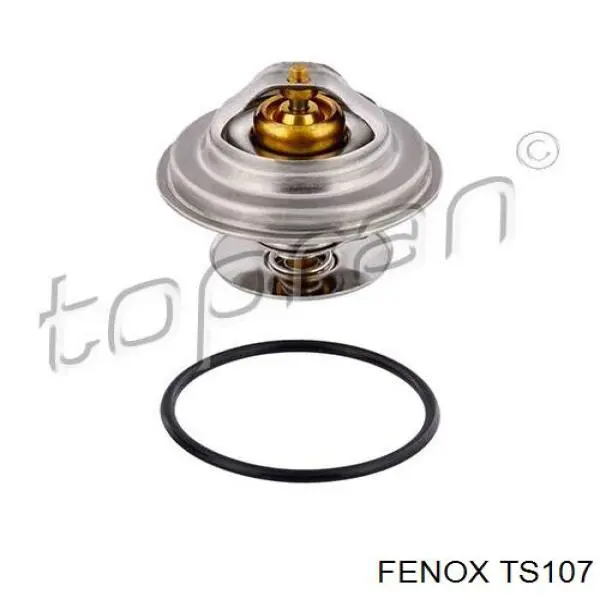 TS107 Fenox termostato, refrigerante