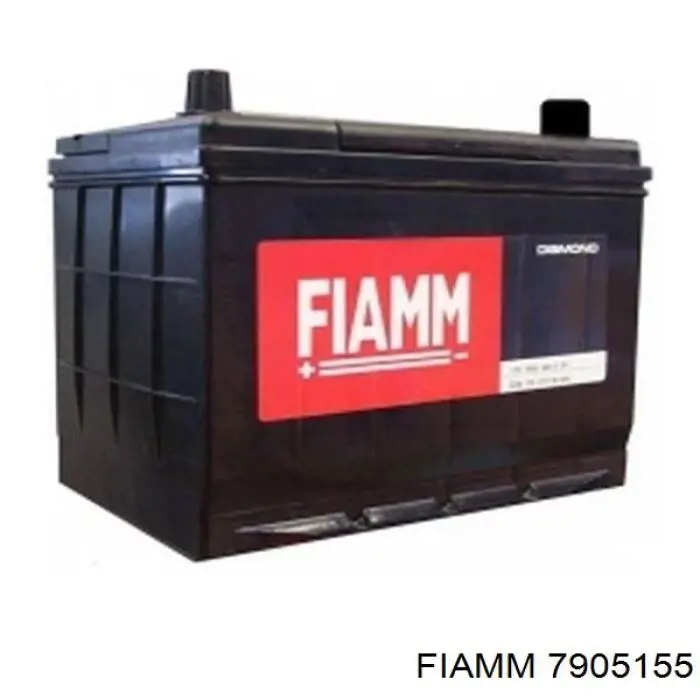 7905155 Fiamm