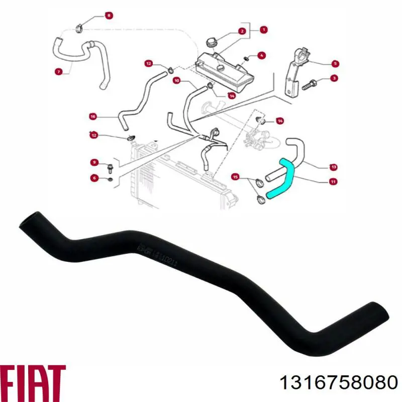 Comprar 1316758080 Fiat/Alfa/Lancia Manguera inferior del radiador