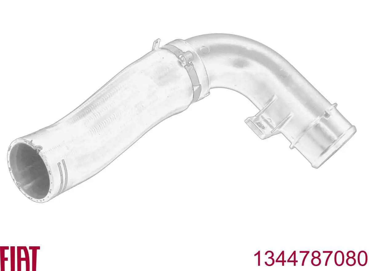 Manguera del intercooler Fiat/Alfa/Lancia 1344787080 precio, desde 29,02 EUR