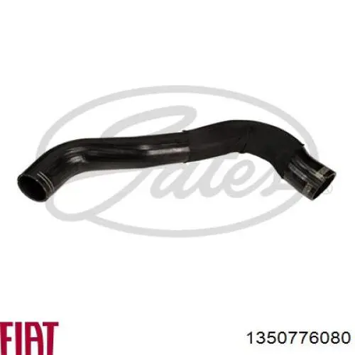 Comprar 1350776080 Fiat/Alfa/Lancia Tubo intercooler