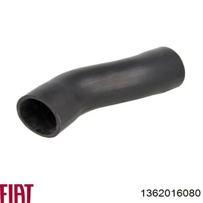 1362016080 Fiat/Alfa/Lancia Manguera del intercooler