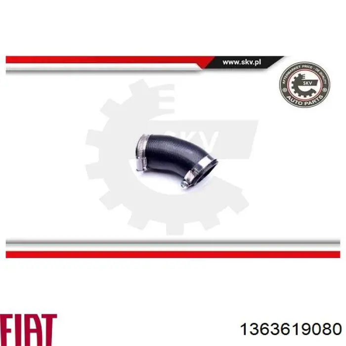 FT61786 Fast tubo flexible de aire de sobrealimentación superior izquierdo