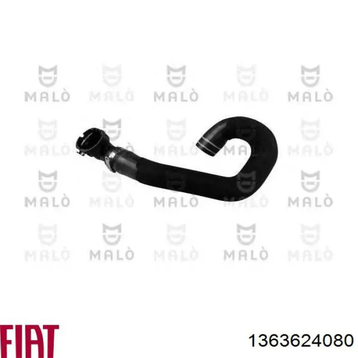 1363624080 Fiat/Alfa/Lancia Manguera superior del radiador