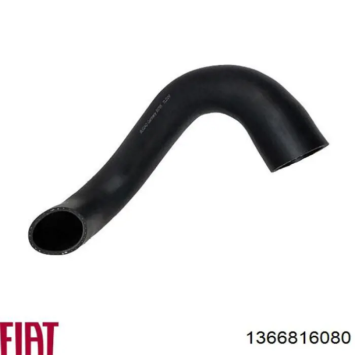 1366816080 Fiat/Alfa/Lancia Manguera del intercooler
