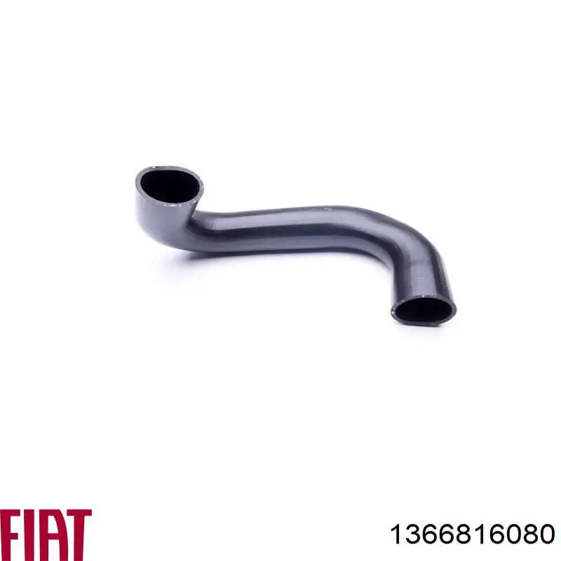 Comprar 1366816080 Fiat/Alfa/Lancia Tubo intercooler