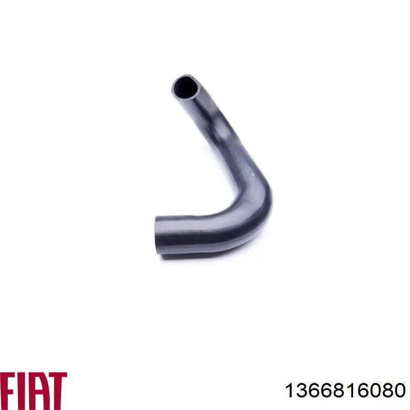 Manguera del intercooler Fiat/Alfa/Lancia 1366816080 precio, desde 50,74 EUR