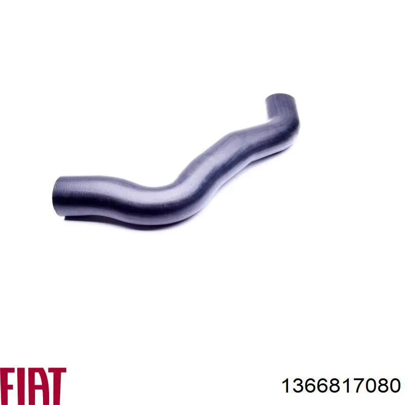 Comprar 754499 Cautex Tubo intercooler