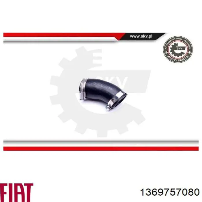 Manguera del intercooler Fiat/Alfa/Lancia 1369757080 precio, desde 15,56 EUR