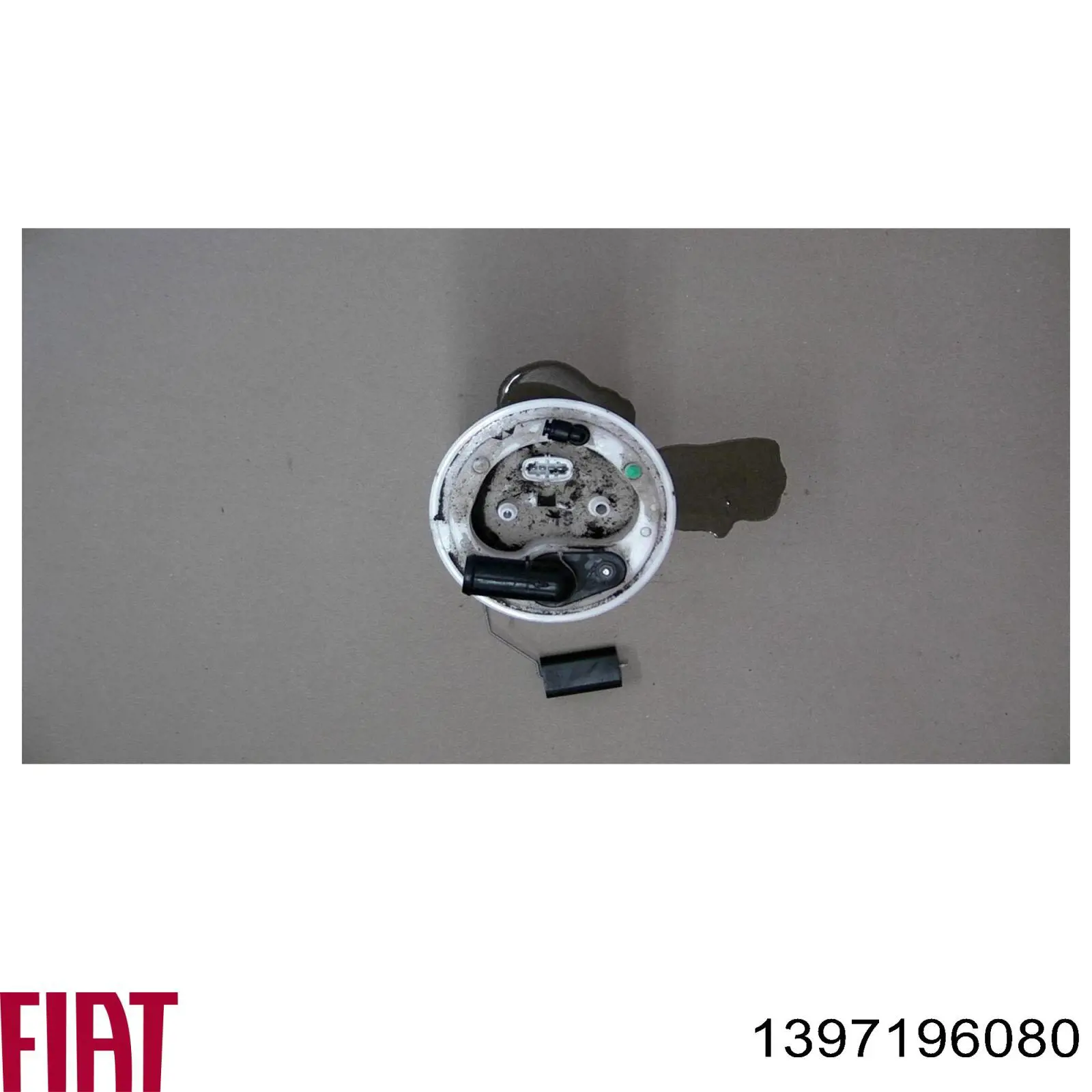 Ballesta, eje trasera  Fiat/Alfa/Lancia 1397196080 precio, desde 243,94 EUR