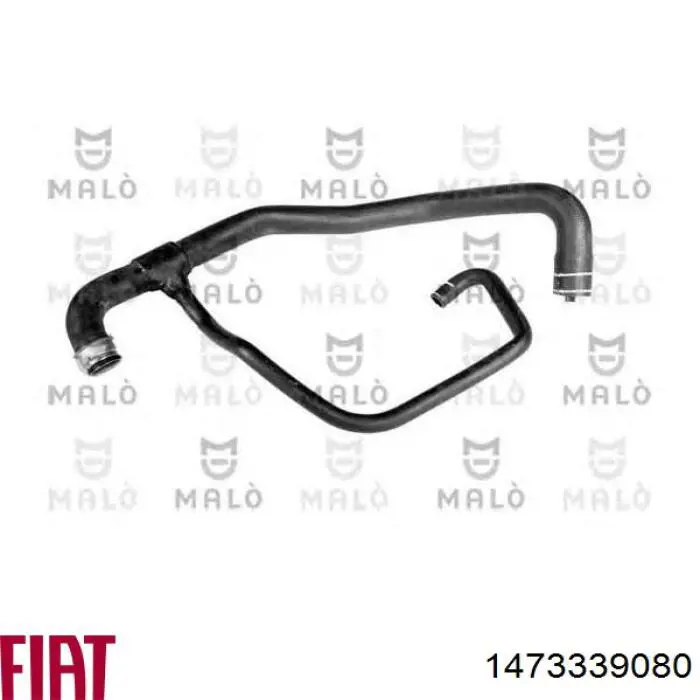 1473339080 Fiat/Alfa/Lancia Manguera inferior del radiador
