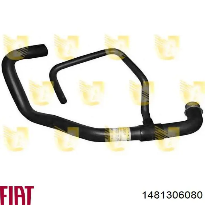 Comprar 1481306080 Fiat/Alfa/Lancia Manguera inferior del radiador