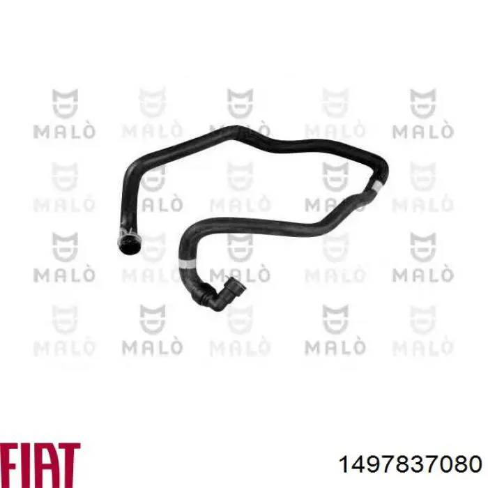 Manguera inferior del vaso de expansión 1497837080 Fiat/Alfa/Lancia