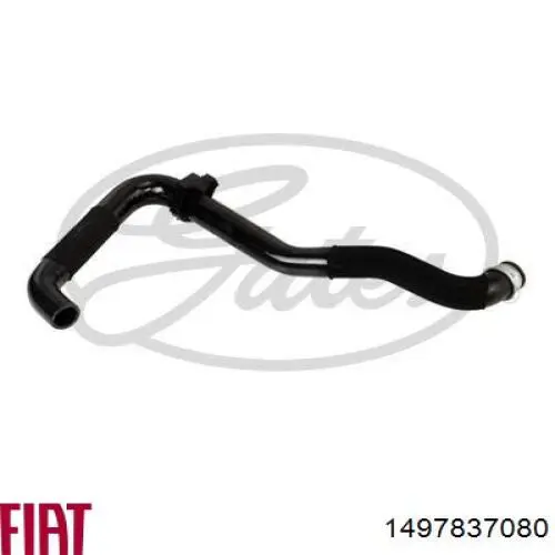 Comprar 1497837080 Fiat/Alfa/Lancia Manguera inferior del vaso de expansión