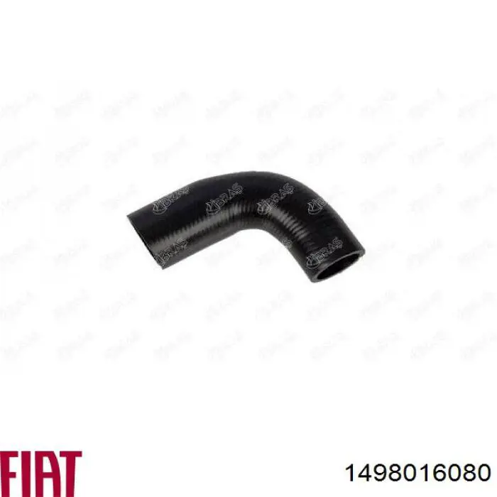 1498016080 Fiat/Alfa/Lancia Manguera superior del radiador