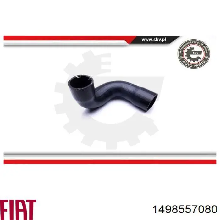 Manguera del intercooler Fiat/Alfa/Lancia 1498557080 precio, desde 22,96 EUR