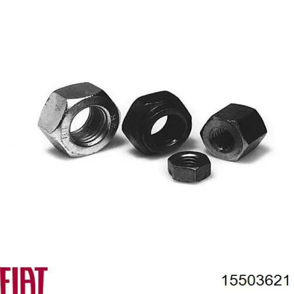  Fiat/Alfa/Lancia 15503621 precio, desde 1,59 EUR