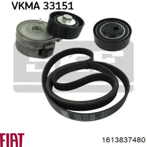 Comprar 1613837480 Fiat/Alfa/Lancia Polea inversión/guía, correa poli V