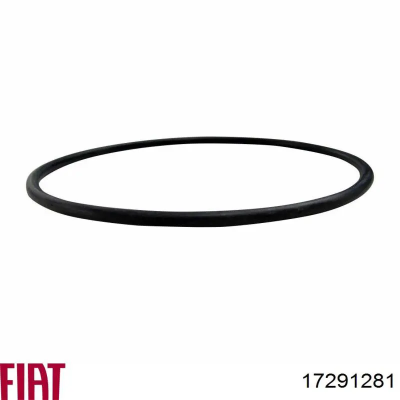 Bombeadora de agua Fiat/Alfa/Lancia 17291281 precio, desde 3,72 EUR