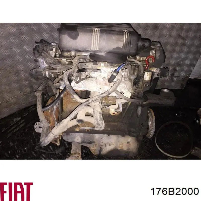 176B2000 Fiat/Alfa/Lancia Motor completo