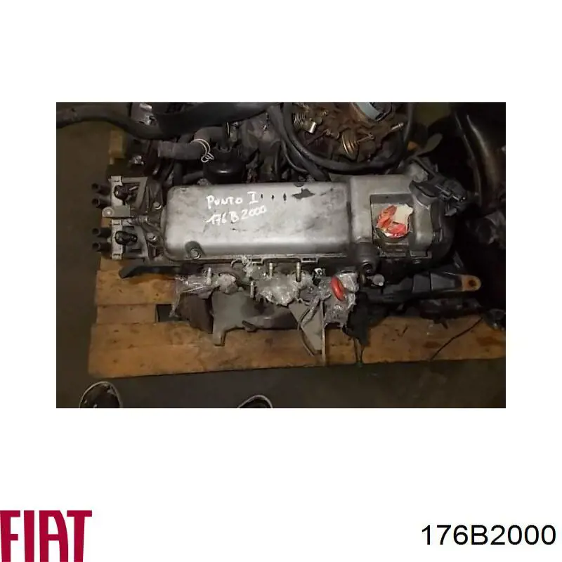 Comprar 176B2000 Fiat/Alfa/Lancia Motor completo