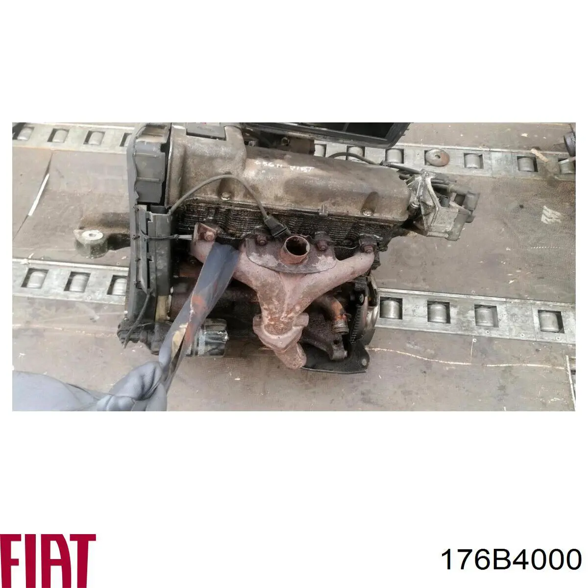 176B4000 Fiat/Alfa/Lancia Motor completo