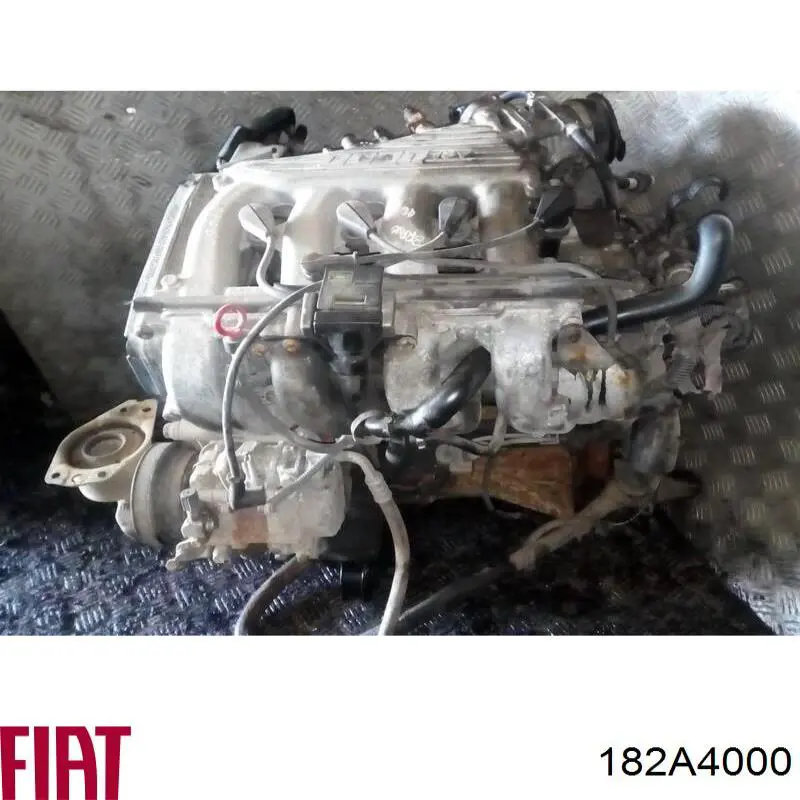 Motor completo para Fiat Multipla (186)