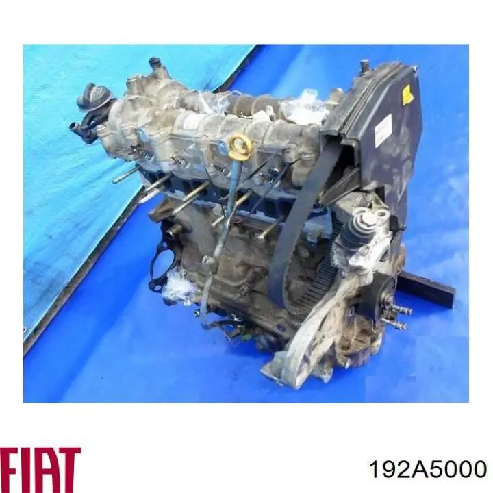 71730211 Fiat/Alfa/Lancia motor completo