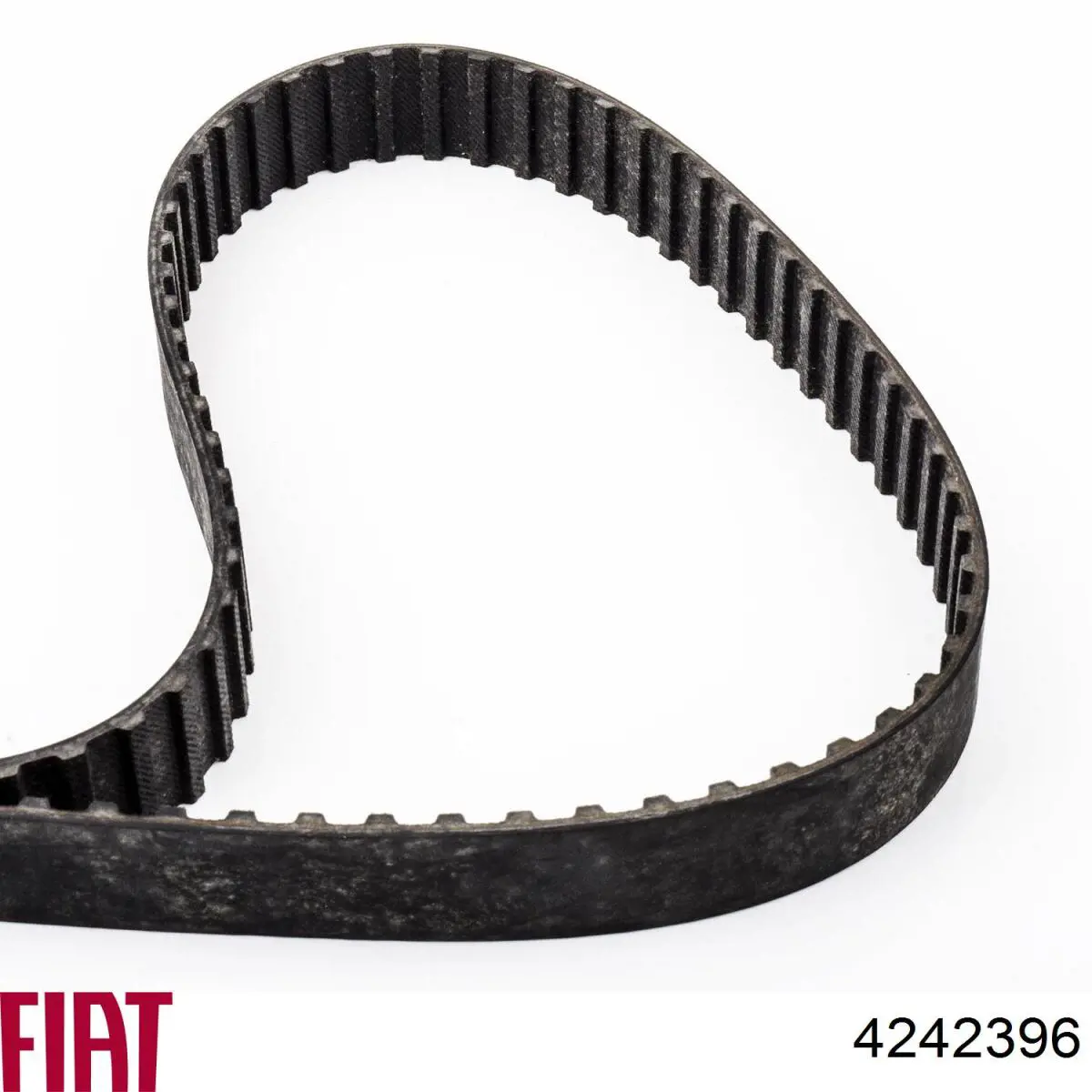 4242396 Fiat/Alfa/Lancia Correa dentada