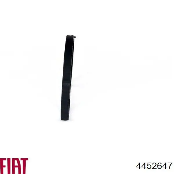 71739899 Fiat/Alfa/Lancia correa distribucion