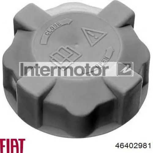 46402981 Fiat/Alfa/Lancia tapón de expansión de refrigerante/anticongelante