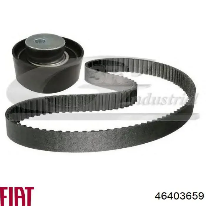 Comprar 46403659 Fiat/Alfa/Lancia Correa distribución