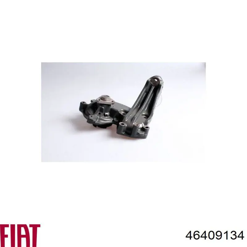 46409134 Fiat/Alfa/Lancia Bombeadora de agua, completo con caja