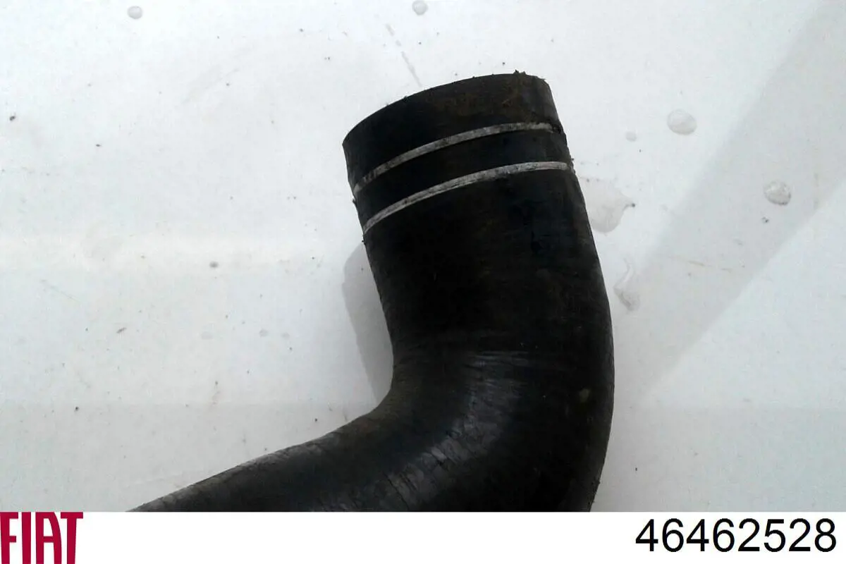  Fiat/Alfa/Lancia 46462528 precio, desde 65,34 EUR