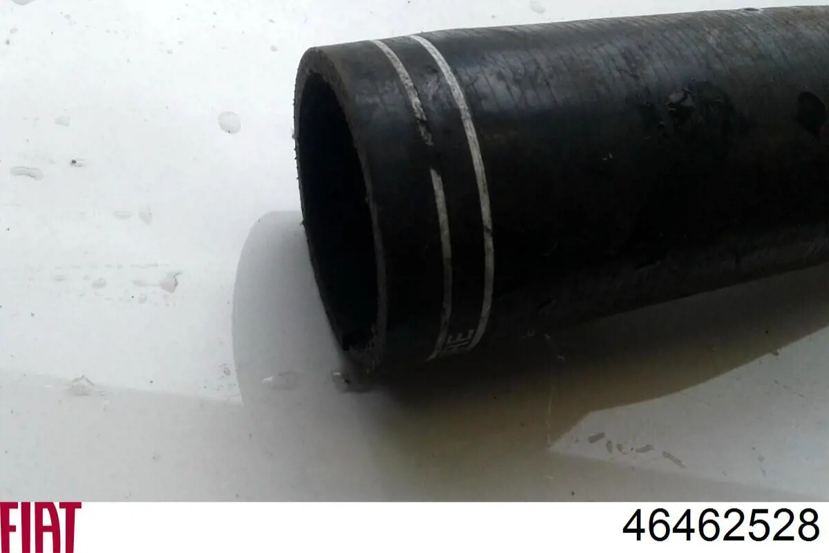 Comprar 46462528 Fiat/Alfa/Lancia 