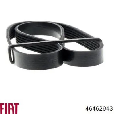 Correa de alternador 46462943 Fiat/Alfa/Lancia
