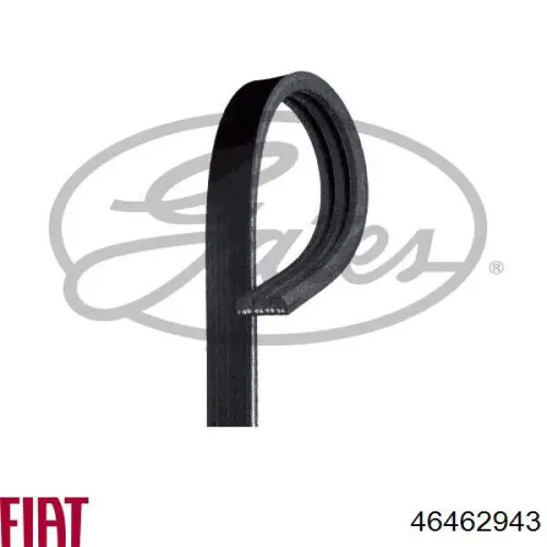 Comprar 46462943 Fiat/Alfa/Lancia Correa trapezoidal