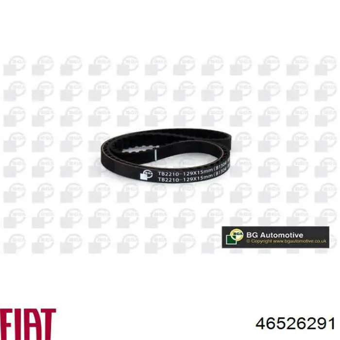 Comprar 46526291 Fiat/Alfa/Lancia Correa distribución