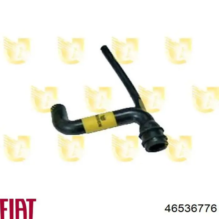 46536776 Fiat/Alfa/Lancia Decantador de aceite