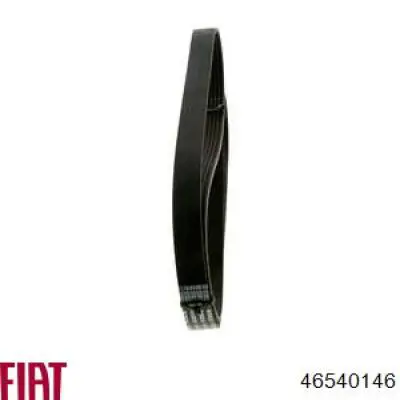 Correa trapezoidal Renault 21 S48