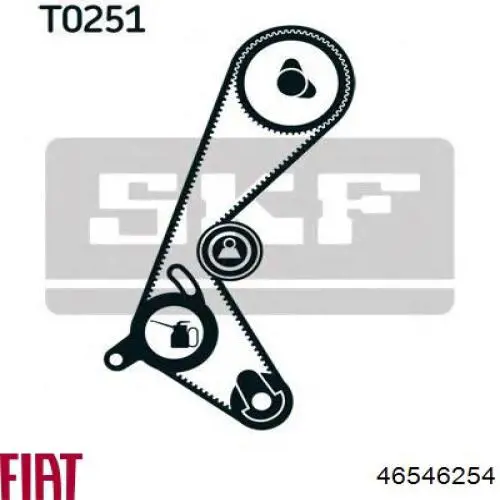 46546254 Fiat/Alfa/Lancia correa distribucion