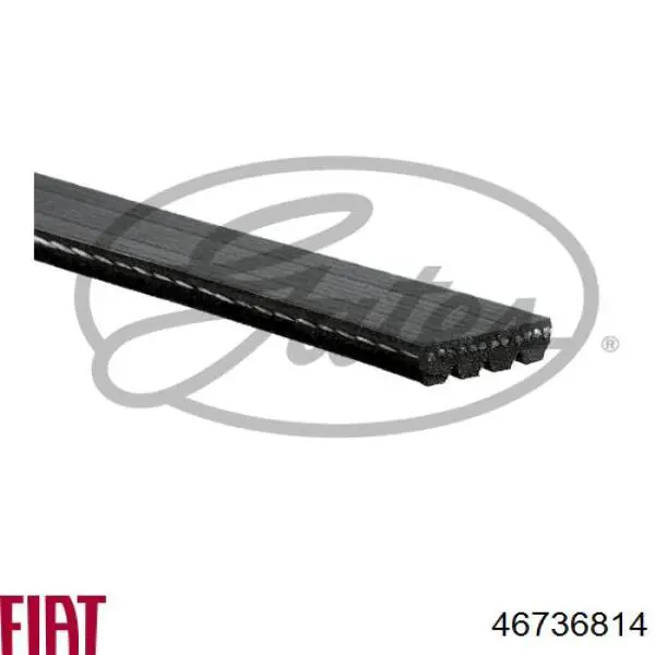 Correa de transmisión trapezoidal Fiat/Alfa/Lancia 46736814 precio, desde 6,29 EUR