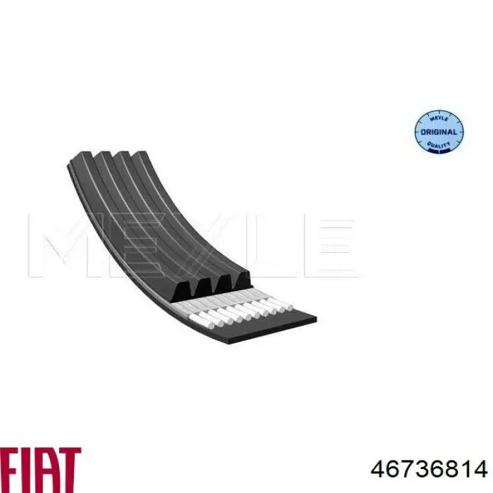 Comprar 46736814 Fiat/Alfa/Lancia Correa trapezoidal